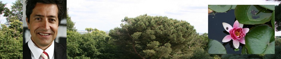 Blog politique de Frederic Garcia